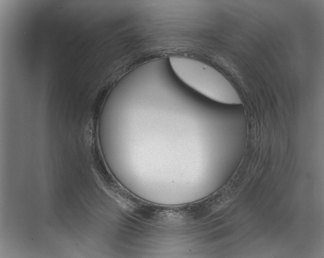 X0000072930498200607210935