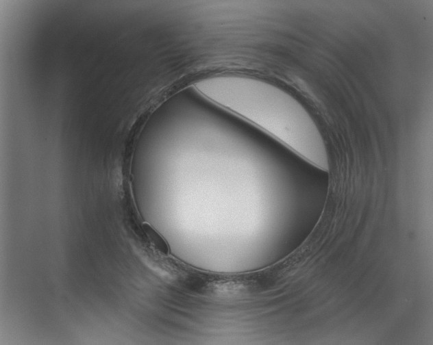 X0000072930500200607210935