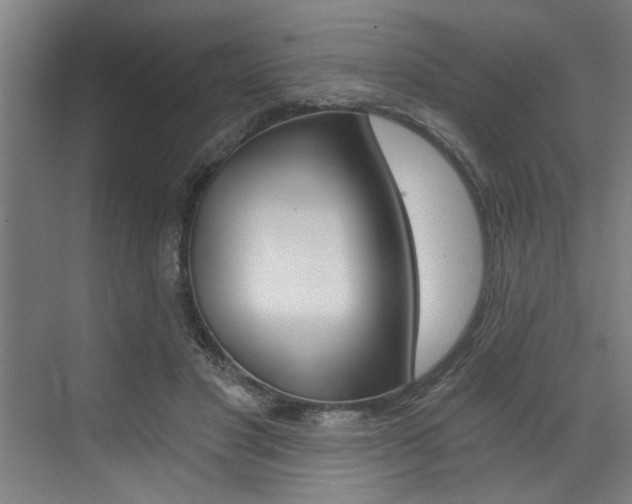X0000072930501200607210935
