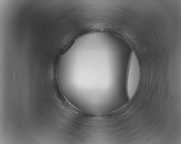 X0000072930504200607210935
