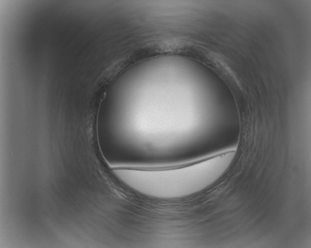 X0000072930505200607210935