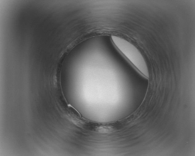 X0000072930508200607210935