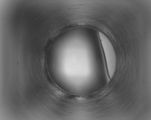 X0000072930509200607210935