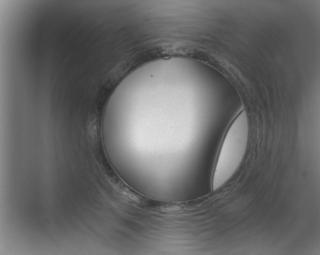 X0000072930513200607210935