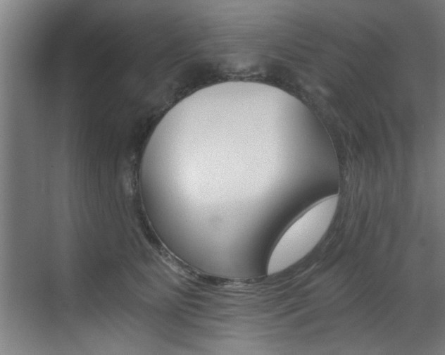X0000072930515200607210935