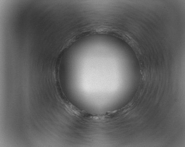 X0000072930524200607210935