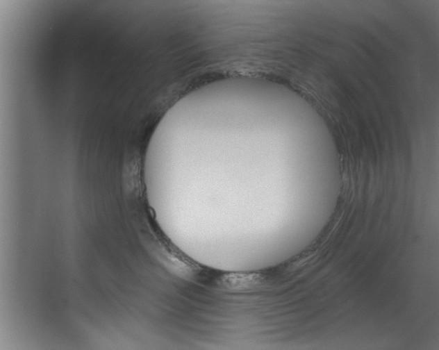 X0000072930526200607210935
