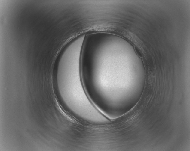X0000072930530200607210934