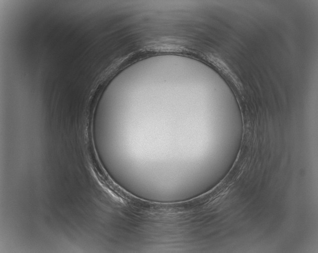 X0000072930533200607210934