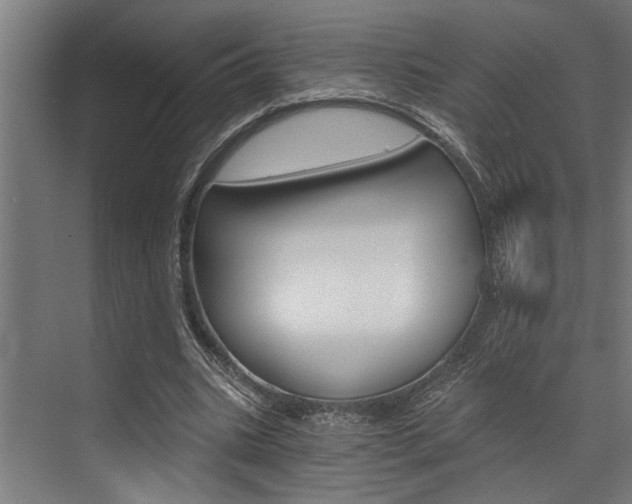 X0000072930535200607210934