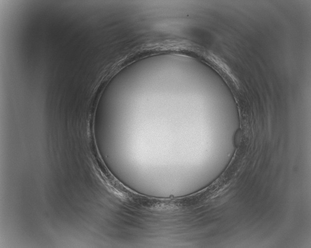 X0000072930537200607210934