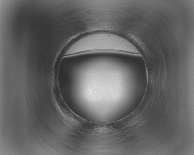 X0000072930540200607210934