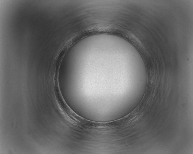 X0000072930542200607210934