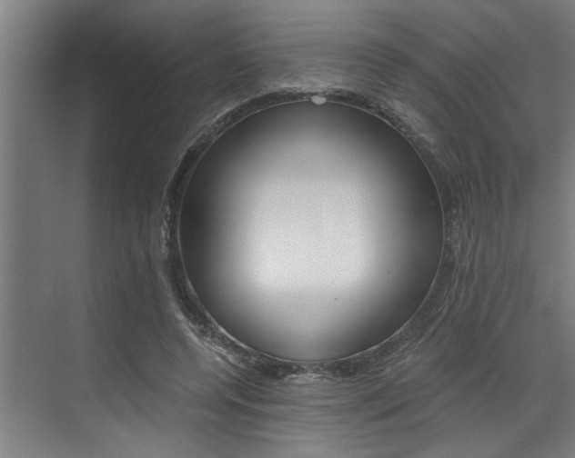 X0000072930544200607210934