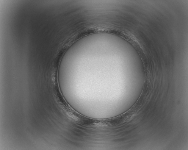 X0000072930545200607210934