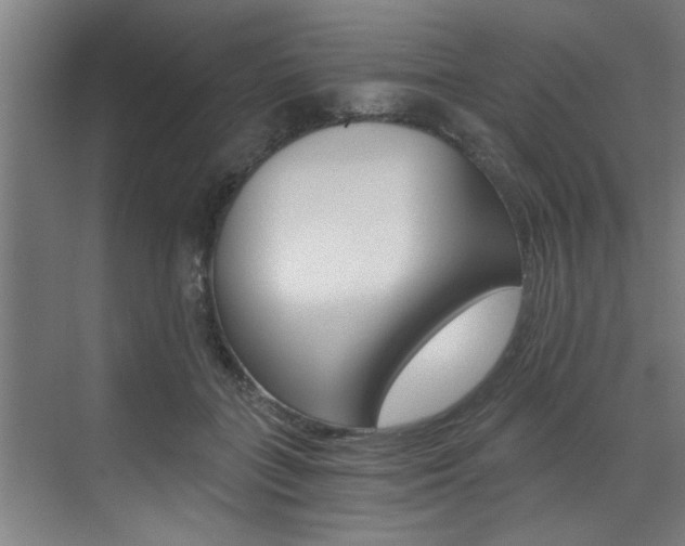 X0000072930555200607210935