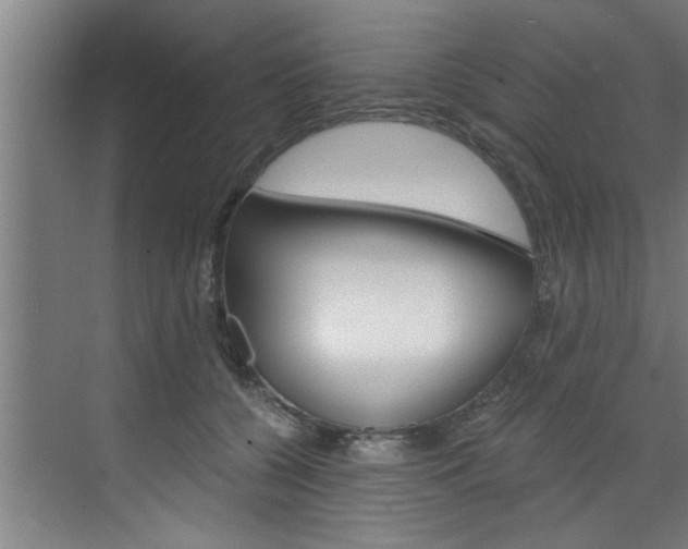 X0000072930560200607210935