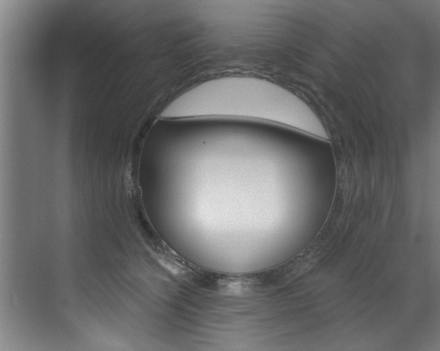 X0000072930564200607210935