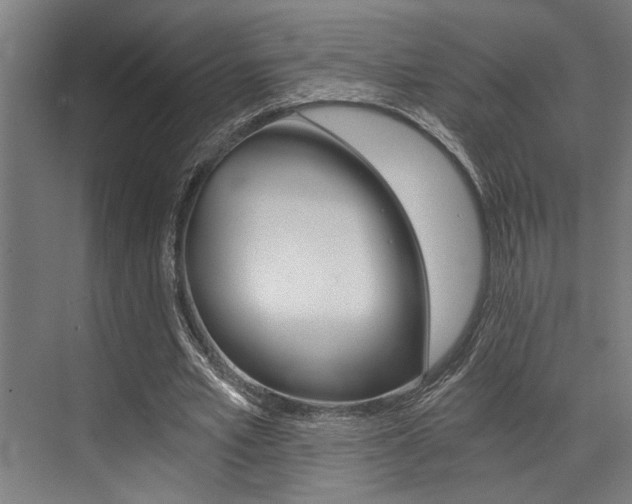 X0000072930581200607210934