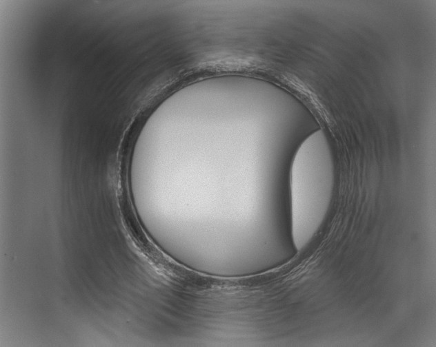 X0000072930582200607210934