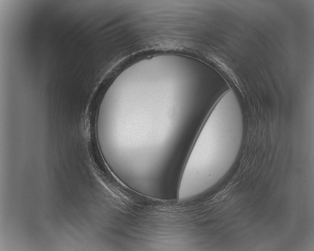 X0000072930584200607210934