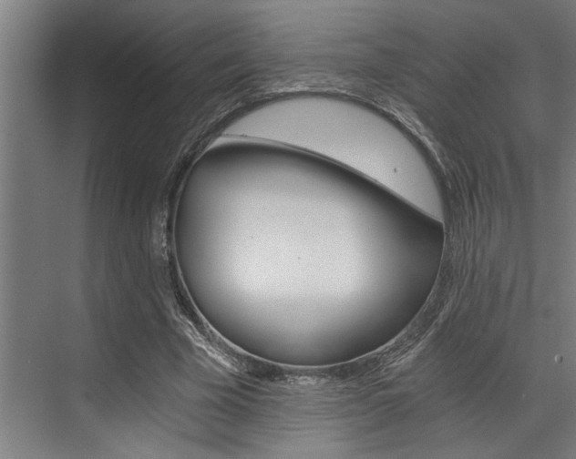 X0000072930585200607210934