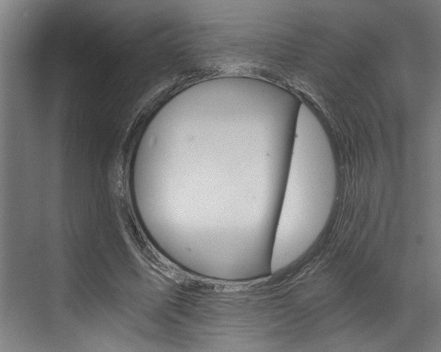 X0000072930587200607210934