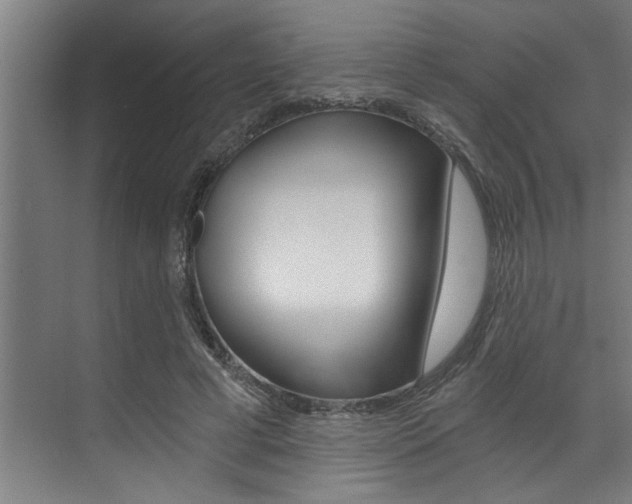 X0000072930593200607210934