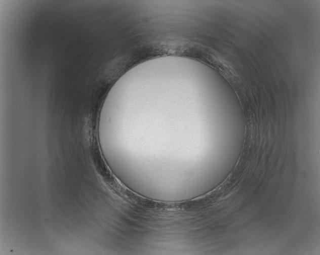 X0000072930594200607210934