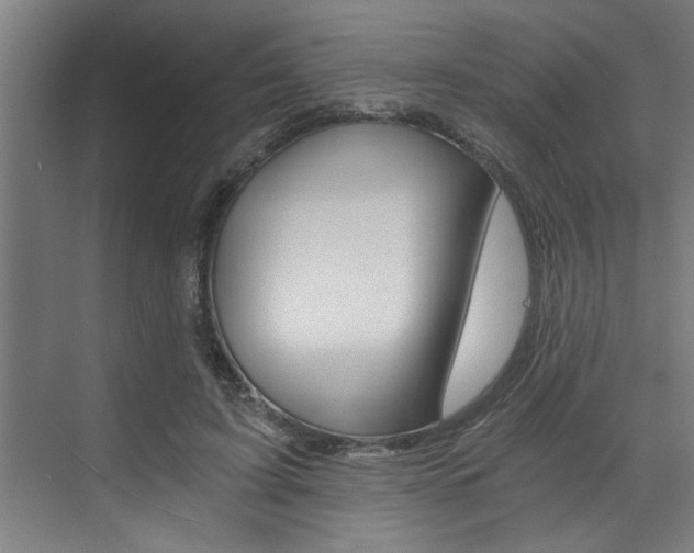 X0000072930595200607210934