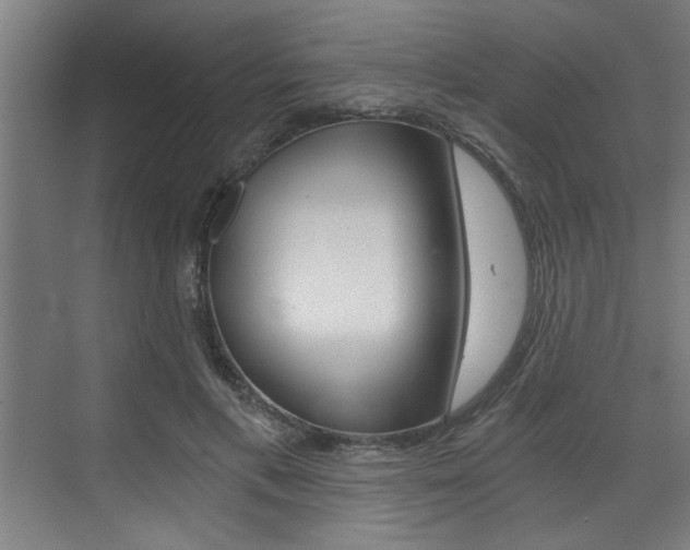 X0000072930597200607210934