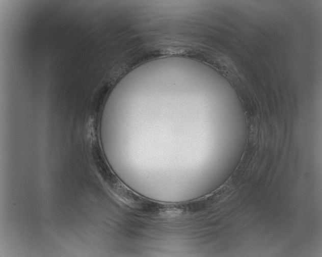 X0000072930598200607210934