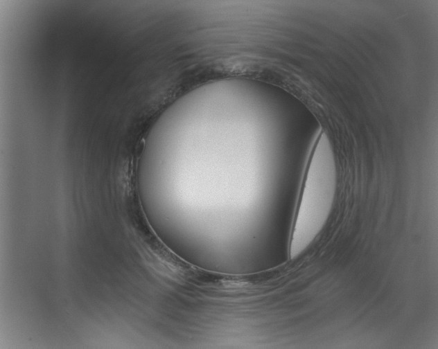 X0000072930605200607210934