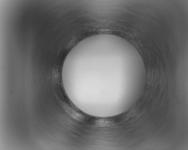X0000072930614200607210934