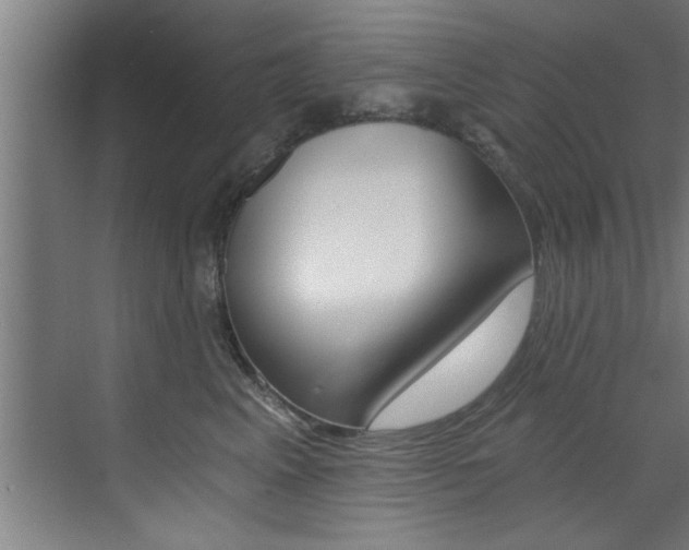 X0000072930617200607210933