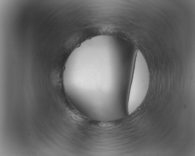 X0000072930619200607210933