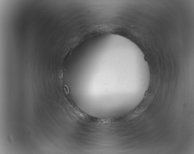 X0000072930624200607210933