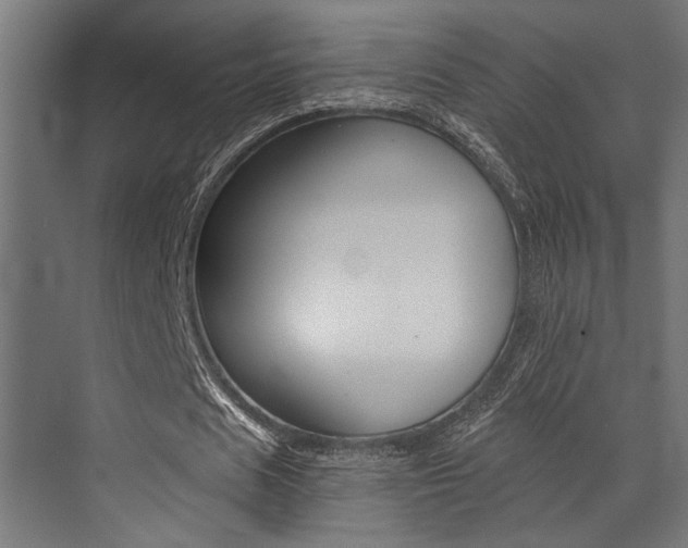 X0000072930625200607210933