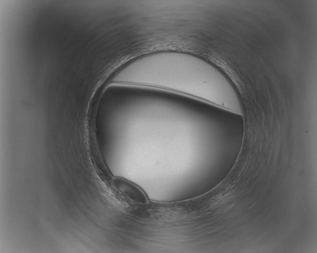 X0000072930626200607210933