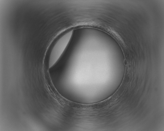 X0000072930628200607210933