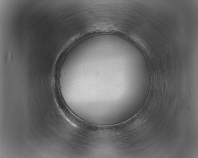 X0000072930630200607210933