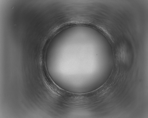 X0000072930631200607210933