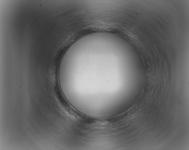 X0000072930642200607210933