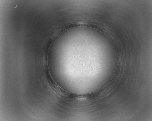 X0000072930651200607210933