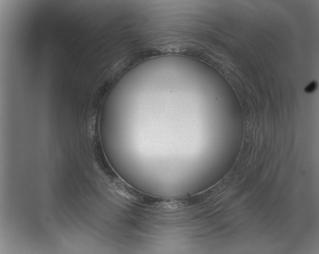 X0000072930652200607210933