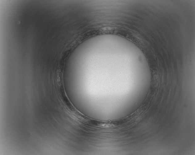 X0000072930654200607210933