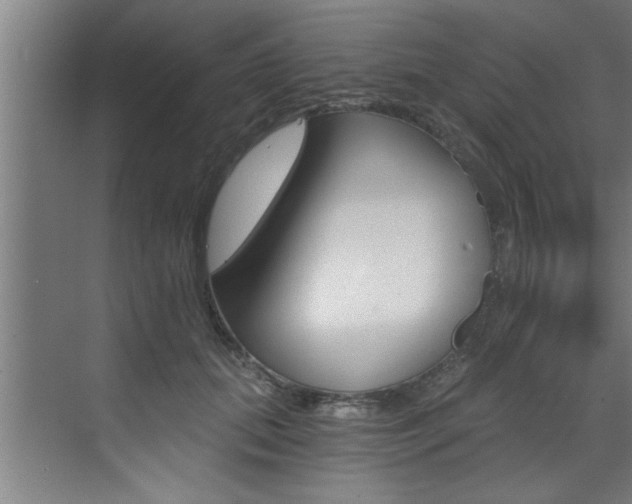 X0000072930655200607210933