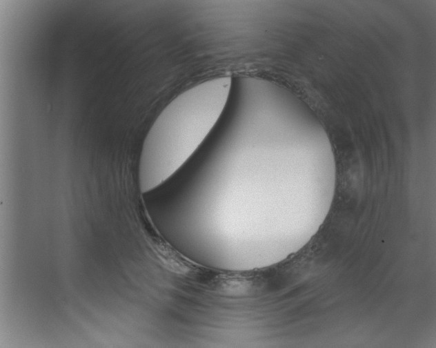 X0000072930658200607210933
