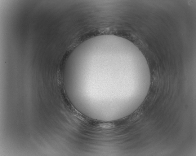X0000072930659200607210933