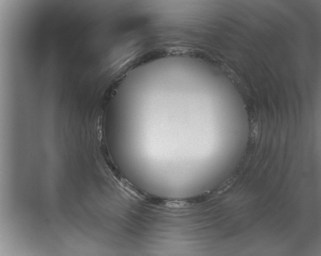 X0000072930666200607210933
